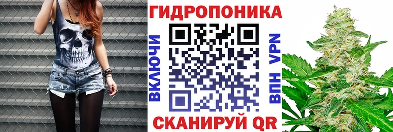 сколько стоит  Сретенск  Конопля конопля 